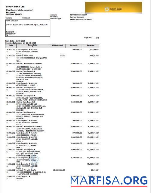 Realistic Pakistan Soneri bank statement of account word template